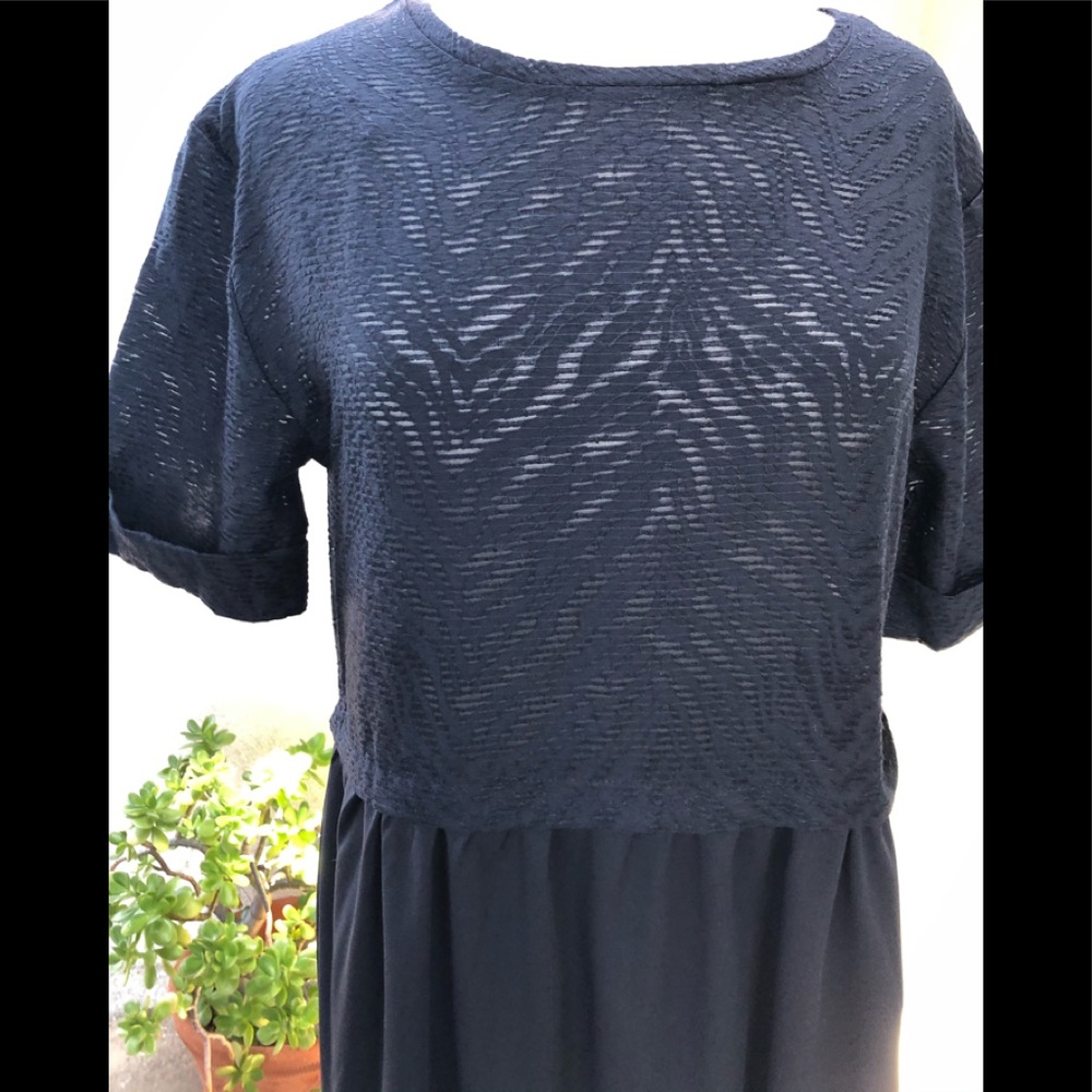 Zara NWT black dress lace sheer sz M